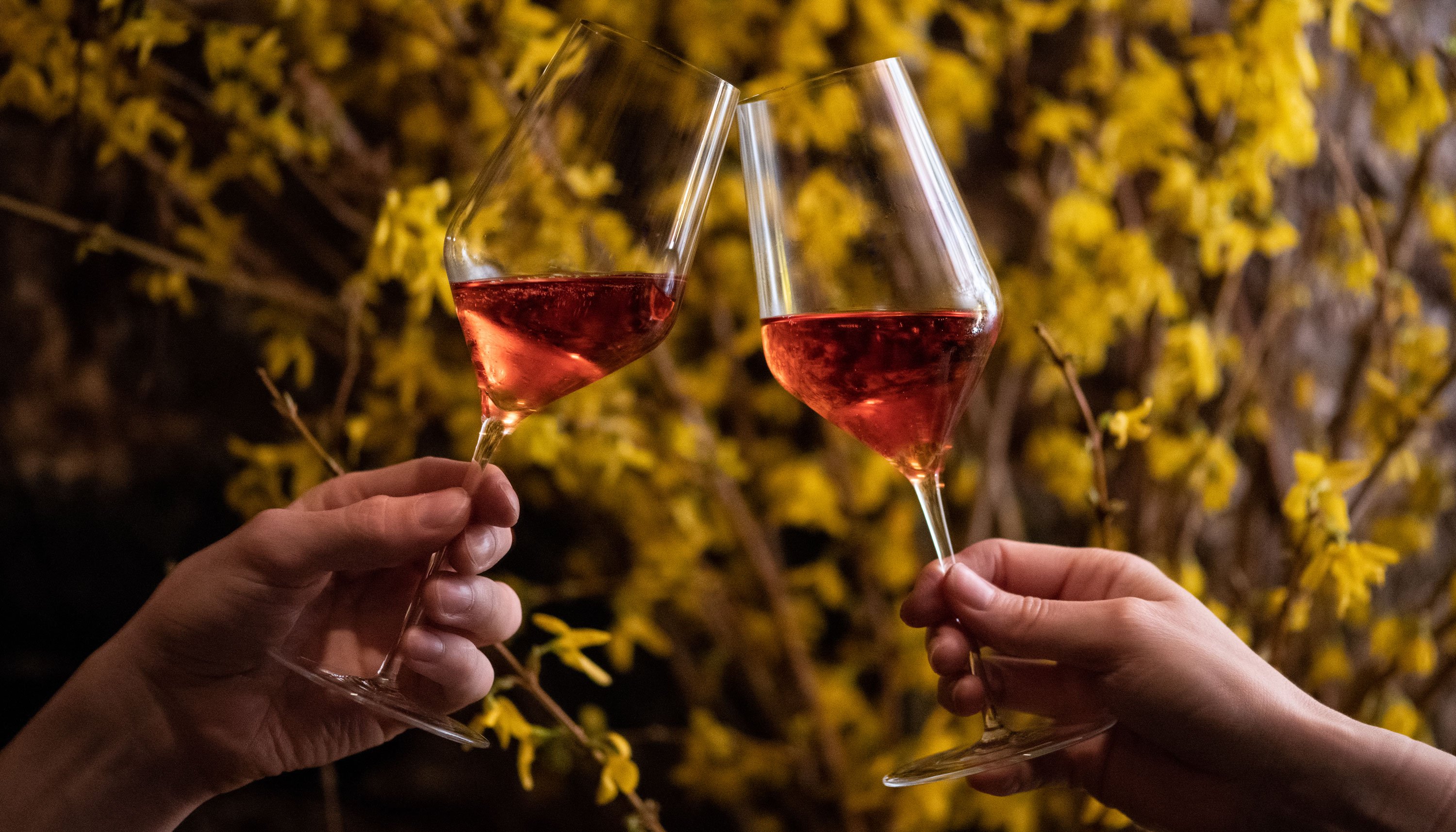 Visuel-Article-Fin-Annee-3